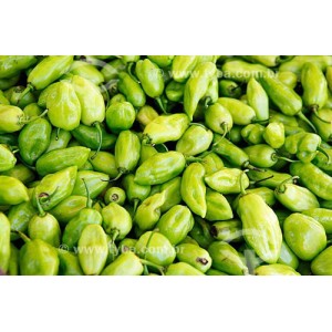 Pimenta de Cheiro 25...