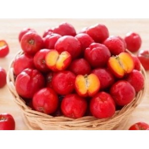 Acerola 500G...