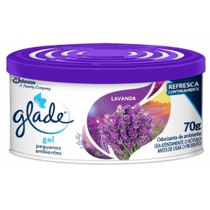 Purificador Gel Glad...